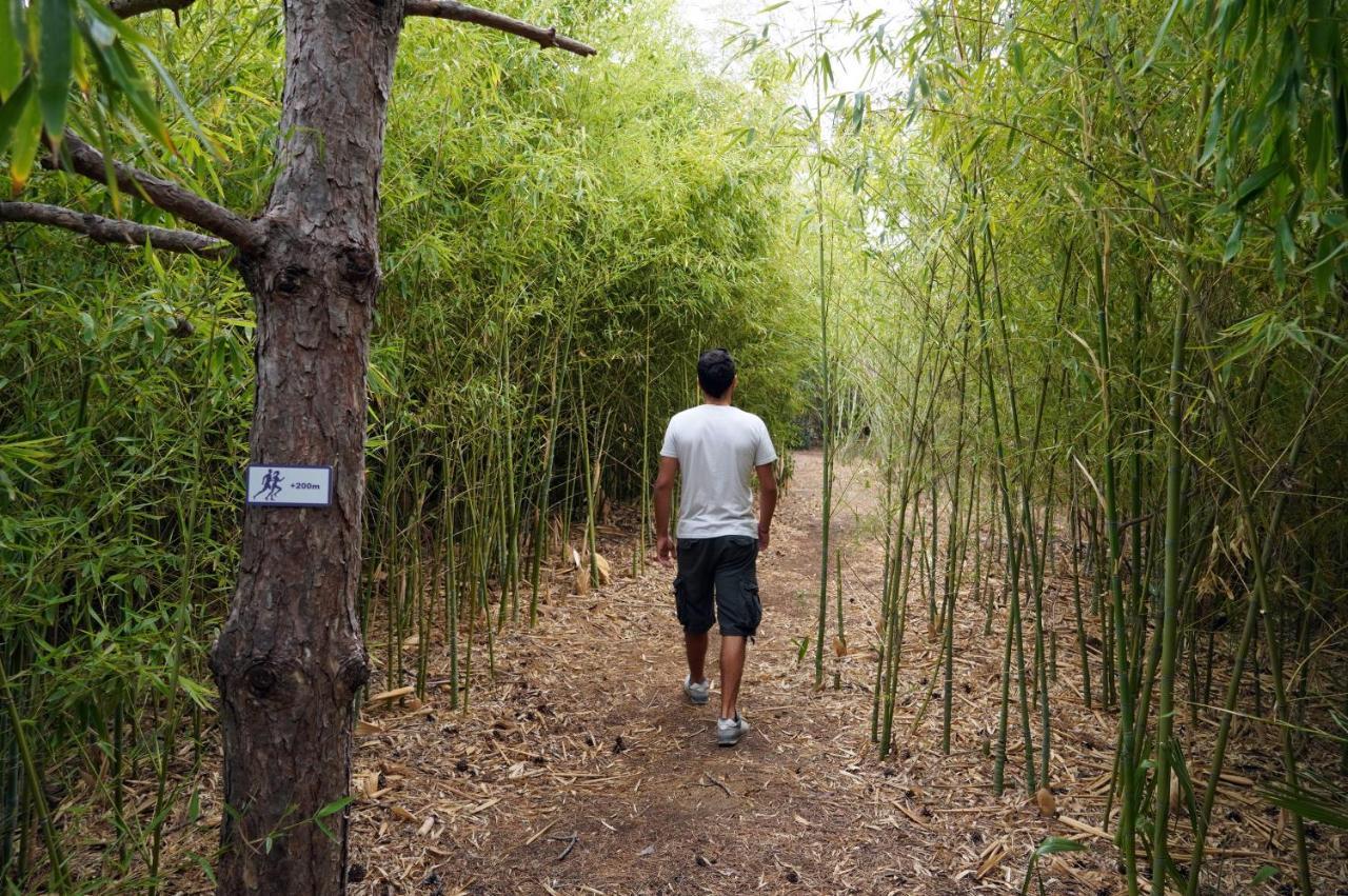 ホテル ハイアット リージェンシー テサロニキ テッサロニキ エクステリア 写真 Bamboo forest in the park